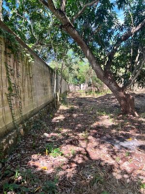 EN VENTA, Terreno bardeado en Imi, Campeche