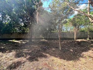 EN VENTA, Terreno bardeado en Imi, Campeche