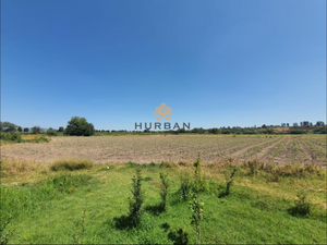 HURBAN VENDE rancho agrícola en Rincón de Romos.