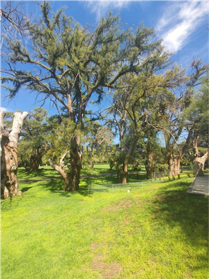 HURBAN VENDE Terreno en Edén Los Sabinos.