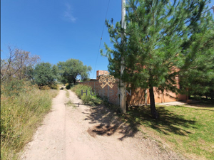 HURBAN VENDE rancho agrícola en Rincón de Romos.