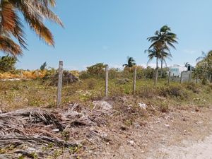 Terreno en venta San Crisanto, Yucatán