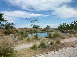 Desarrollo La Providencia Vida de Campo en San Miguel de Allende