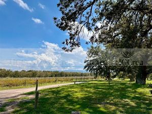 TERRENO EN VENTA EN PARRAS HACIENDA DEL MARQUÉS