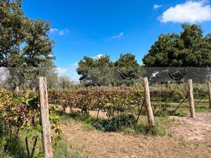 TERRENO EN VENTA EN PARRAS HACIENDA DEL MARQUÉS