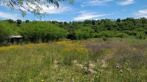 TERRENO EN VENTA EN MONTEMORELOS