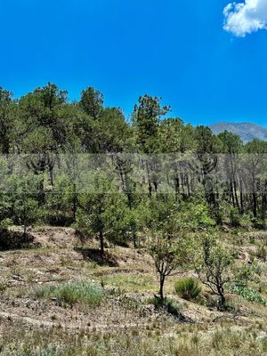 TERRENO EN VENTA EN SANTIAGO N.L.