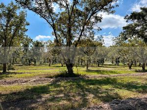 TERRENO EN VENTA EN PARRAS HACIENDA DEL MARQUÉS