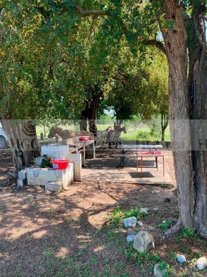 RANCHO AGRICOLA EN VENTA EN CADEREYTA