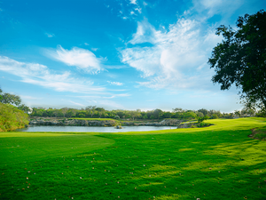 TERRENO EN VENTA, YUCATÁN, COUNTRY CLUB.