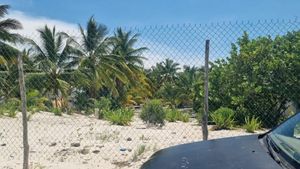 Terreno en venta Frente al mar- San Crisanto Yucatan - 1040 m2