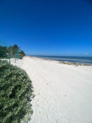 Terreno en venta Frente al mar- San Crisanto Yucatan - 1040 m2