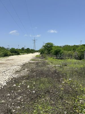 TERRENO |PARAISO PROGRESO| YUCATAN