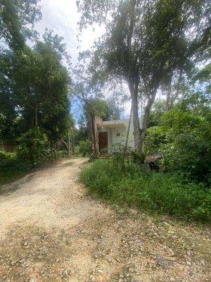 Terreno en venta Tulum Mexico