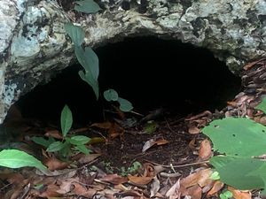 Terreno en venta Tulum Mexico