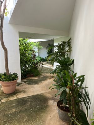 DEPARTAMENTO EN RENTA EN BENITO JUAREZ NORTE