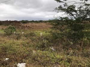 En Venta  de Terreno Comercial, en Chichima Gpe. a orilla de Carretera Int.