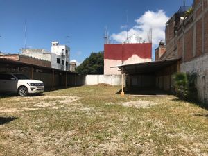 Se renta Terreno espectacular, Apto para Alimentos y Bebidas !!  2da. Pte Norte