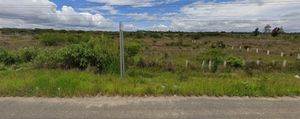 En Venta  de Terreno Comercial, en Chichima Gpe. a orilla de Carretera Int.