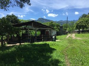 En venta hermoso rancho ubicado en Rayón, Chiapas, Totalmente Activo!!