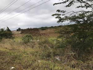 En Venta  de Terreno Comercial, en Chichima Gpe. a orilla de Carretera Int.