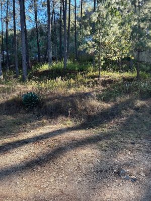 En Venta Terreno de uso habitacional ,  en zona arbolada de San Cristóbal.