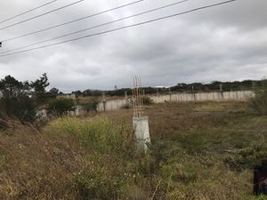 En Venta  de Terreno Comercial, en Chichima Gpe. a orilla de Carretera Int.