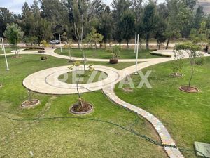 Terreno Comercial en Venta en Ciudad Guzmán