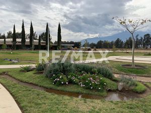 Terreno Comercial en Venta en Ciudad Guzmán