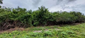 TERRENO  CARRETERA A TULUM,Q.ROO