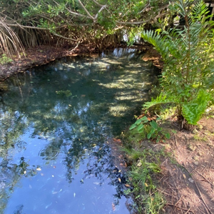 Terreno en Xul-Há laguna, cerca de Bacalar,Q.Roo