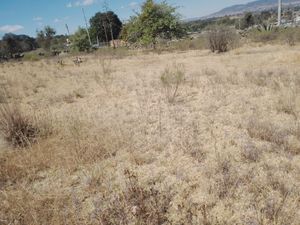 Venta de terreno de 10,000 mts2  en Amealco Qro.