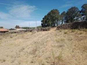 Venta de terreno de 10,000 mts2  en Amealco Qro.