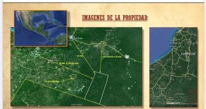 Venta de 73 mil has con selva en Calakmul