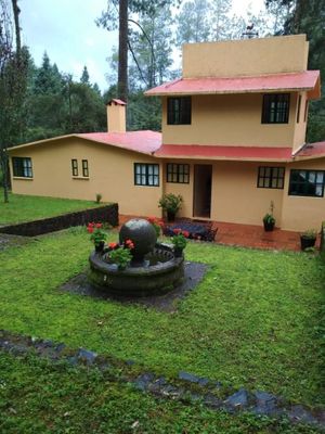 Casa en venta en La Comunidad, Temascaltepec, Estado De México. Primaria  Gral. Ignacio Zaragoza, Miscelanea Rivera, Panaderia