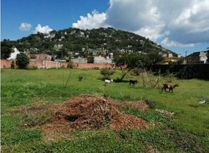 Venta de Terreno para inversionistas. La Huizachera, Jiutepec, Morelos