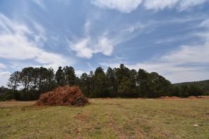 terreno campestre Boskania