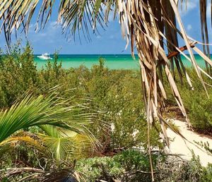 Terreno frente al mar en venta en Sisal, Yucatán