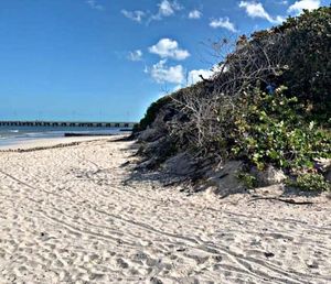 Terreno en Venta Frente de Playa en Chuburná Puerto, Yucatán