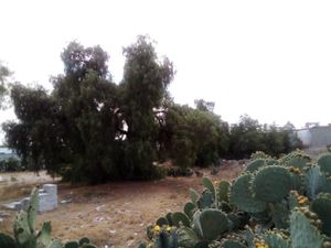 TERRENO EN PACHUCA