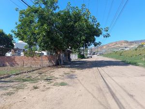 SE RENTA Y VENDE TERRENO EN ALISITOS ROSARITO