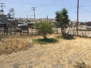 VENTA TERRENO PLANO COMERCIAL | VIÑEDOS CASA BLANCA TIJUANA