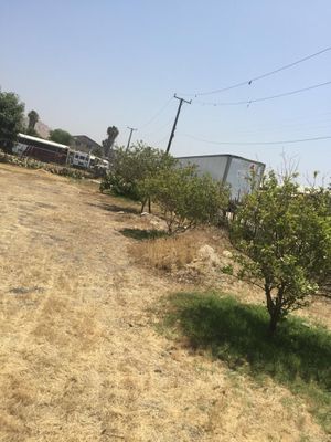 VENTA TERRENO PLANO COMERCIAL | VIÑEDOS CASA BLANCA TIJUANA