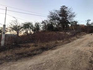 terreno en VENTA en los  sabinos berriozabal