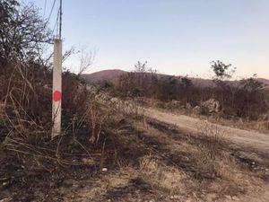 terreno en VENTA en los  sabinos berriozabal