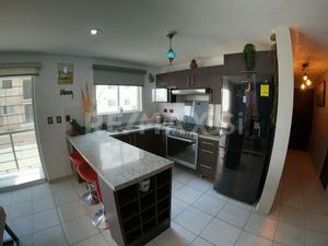 RENTA-DEPARTAMENTO AMUEBLADO PRIVALIA AMBIENTA