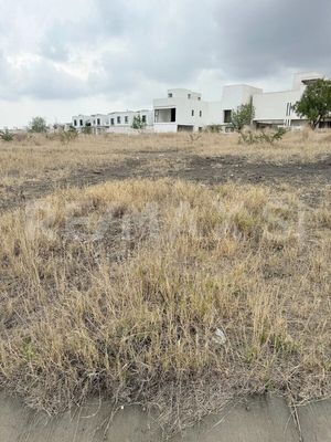 Terreno VENTA  Real de Juriquilla