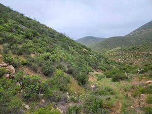 Terrenos de oportunidad en venta en valle de Guadalupe