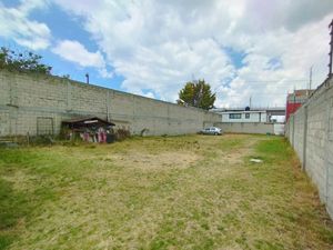 Venta o Renta de Terreno en San Francisco Coaxusco