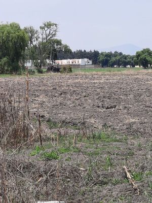 VENTA  DE TERRENO EN METEPEC, EDOMEX